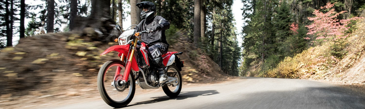 2020 Honda® Motorcycles for sale in Lapeer Honda®, Lapeer, Michigan