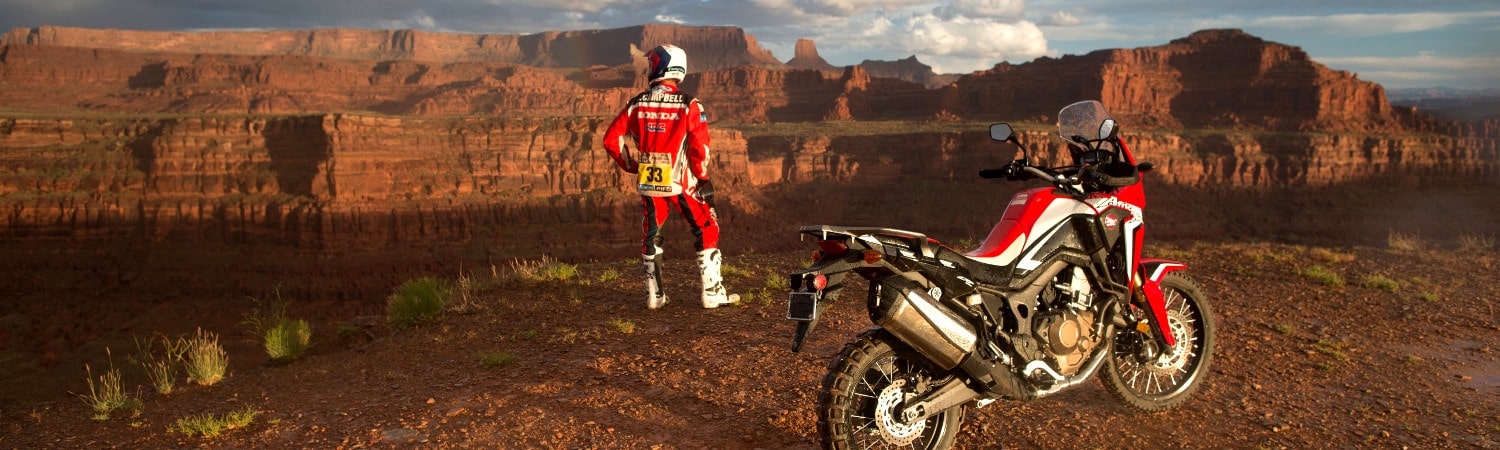 2020 Honda® Motorcycles for sale in Lapeer Honda®, Lapeer, Michigan