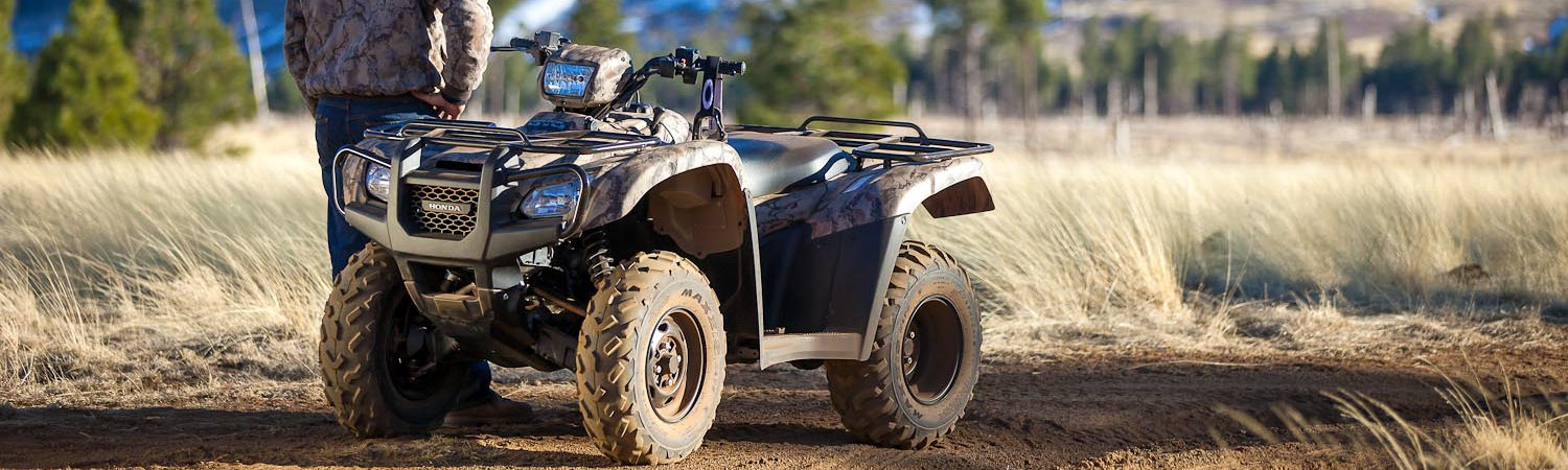 2020 Honda® ATVs for sale in Lapeer Honda®, Lapeer, Michigan