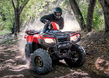 ATV for sale in Lapeer, MI